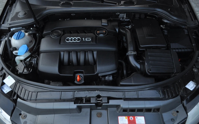 Audi A3 cena 24499 przebieg: 220000, rok produkcji 2008 z Legnica małe 781